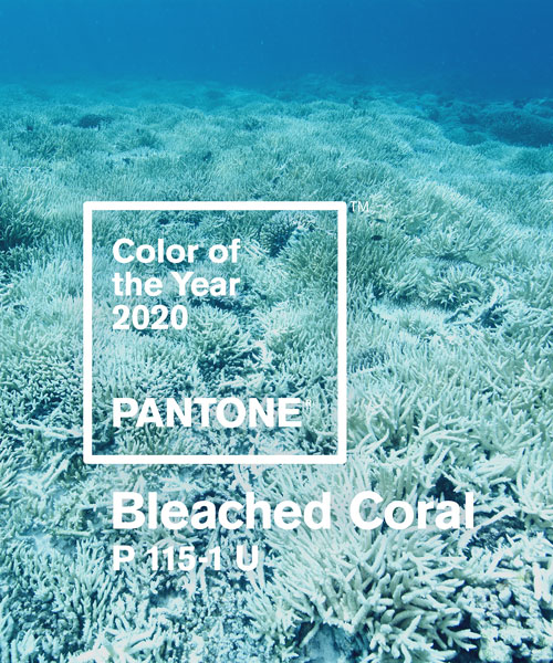jack + huei suggests pantone to help raise awareness of dying coral in 2020