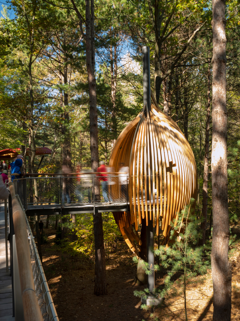 longest tree canopy walk in the US opens at michigan's dow gardens