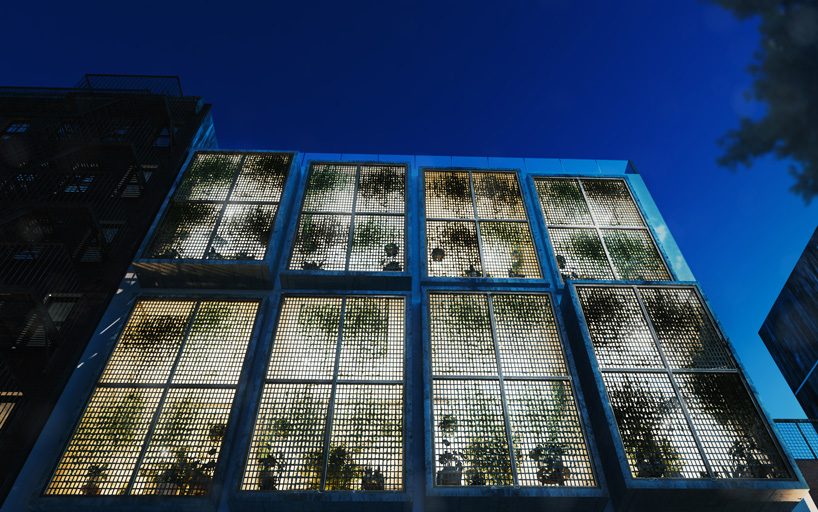 floor-to-ceiling gridded windows compose the façade of this residential complex in cyprus
