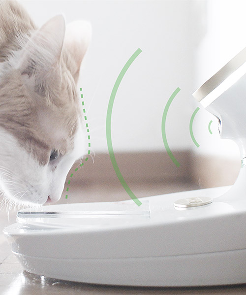 the mookkie pet bowl uses facial recognition to spot your cat and feed it food