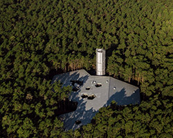 nieto sobejano nestles arvo pärt centre in a dense estonian forest of pine trees