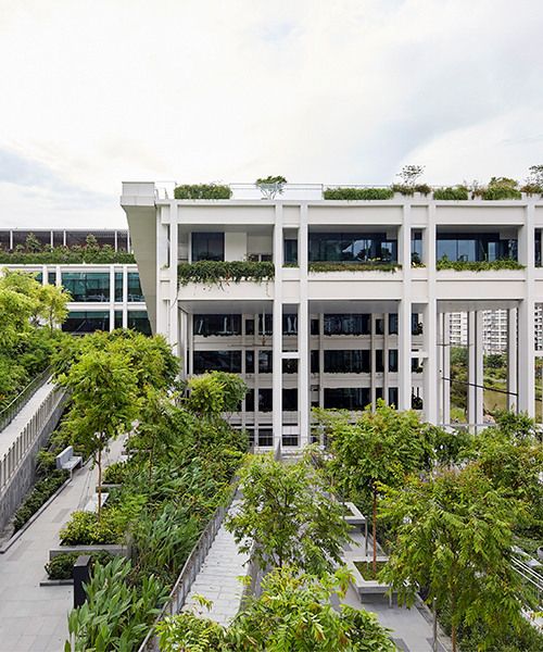 serie and multiply architects complete bucolic 'oasis terraces' in singapore