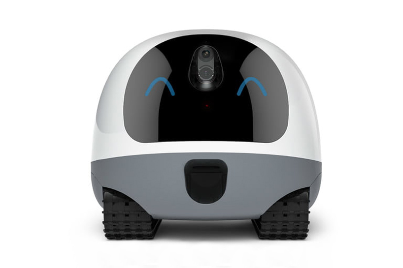 the VAVA pet robot keeps your animals company whilst you're away