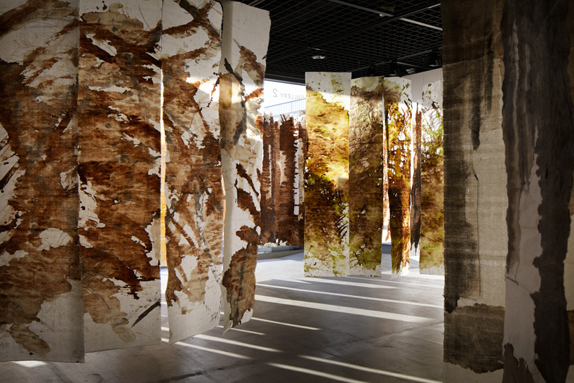 RCR arquitectes tokyo