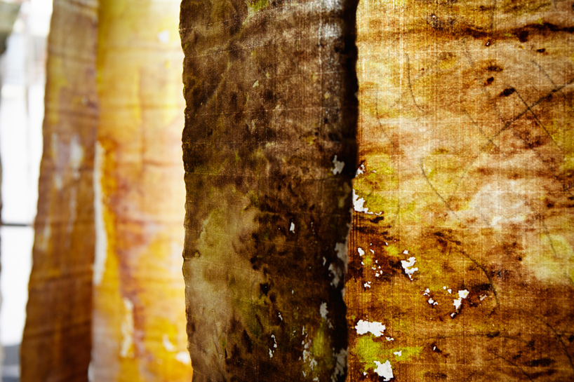 RCR arquitectes tokyo