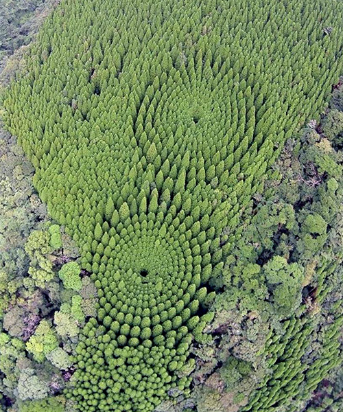 strange 'crop circles' appearing in japan are the result of 1973 experiment