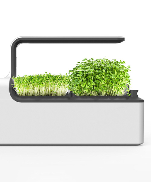the mizzle microgreen grower puts fresh produce in any kitchen