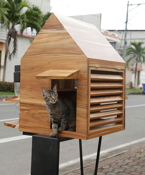 natura futura arquitectura builds little shelters for homeless animals in babahoyo, ecuador