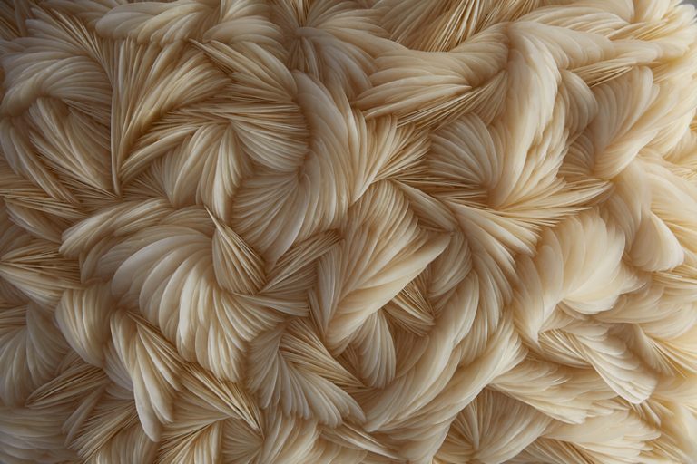 thousands of seashells make up the delicate sculptures of rowan mersh