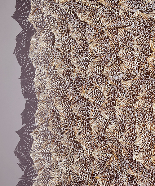 thousands of seashells make up the delicate textural sculptures of rowan mersh