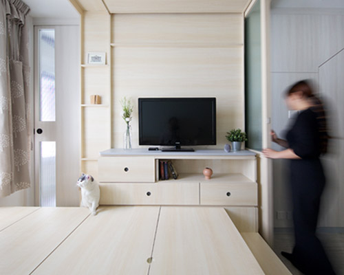 sim-plex creates 'pets playground' apartment for couple with cats in hong kong