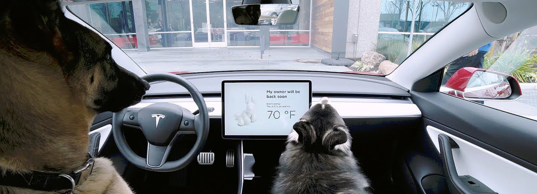 tesla releases ‘dog mode’ to keep pets safe and stop passers-by ...