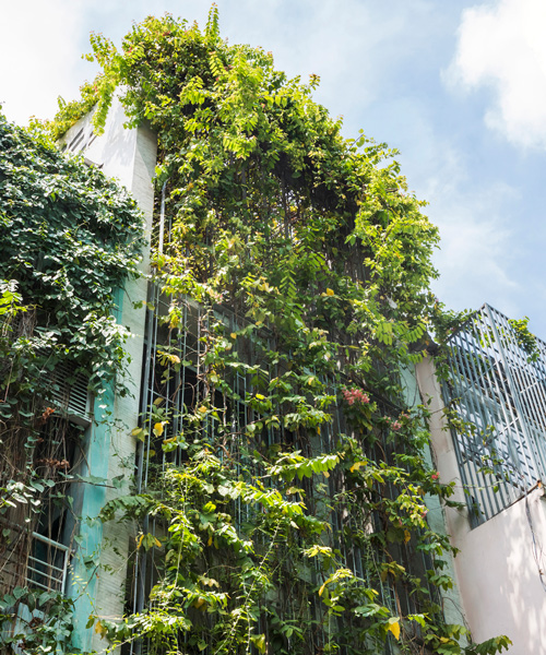 VTN architects drapes 'green veil' over narrow family home in vietnam