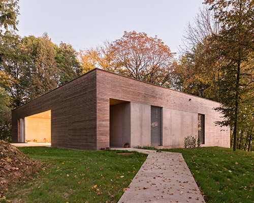 081 architekci forms timber-clad 'house in the woods' in poland