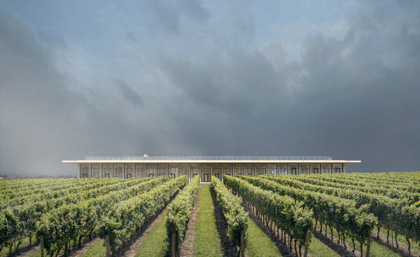 CHYBIK + KRISTOF plans lahofer winery in the czech republic