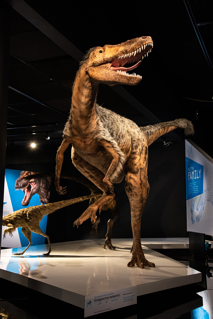 trex exhibit