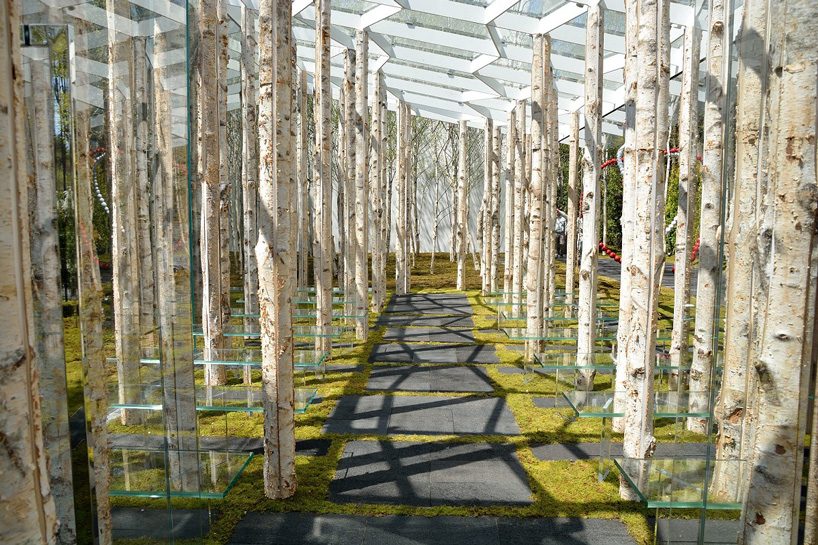  kengo kuma combines tree trunks and glass for the birch moss chapel in japan