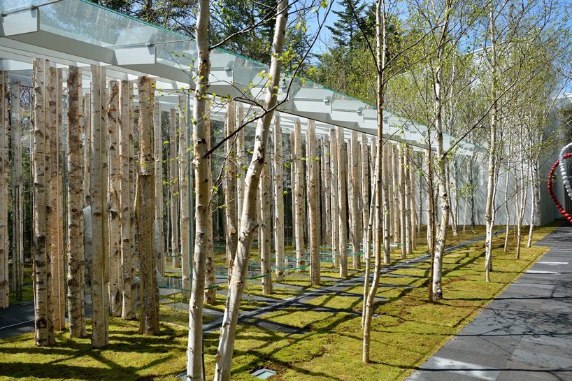  kengo kuma combines tree trunks and glass for the birch moss chapel in japan