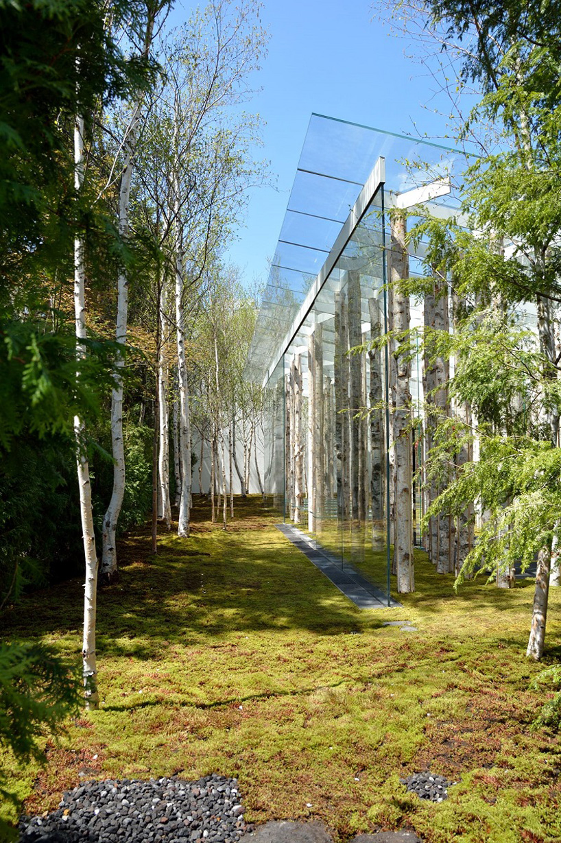  kengo kuma combines tree trunks and glass for the birch moss chapel in japan