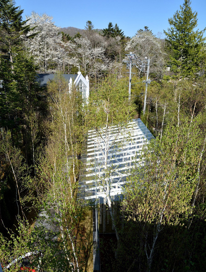 kengo kuma combines tree trunks and glass for the birch moss chapel  in japan