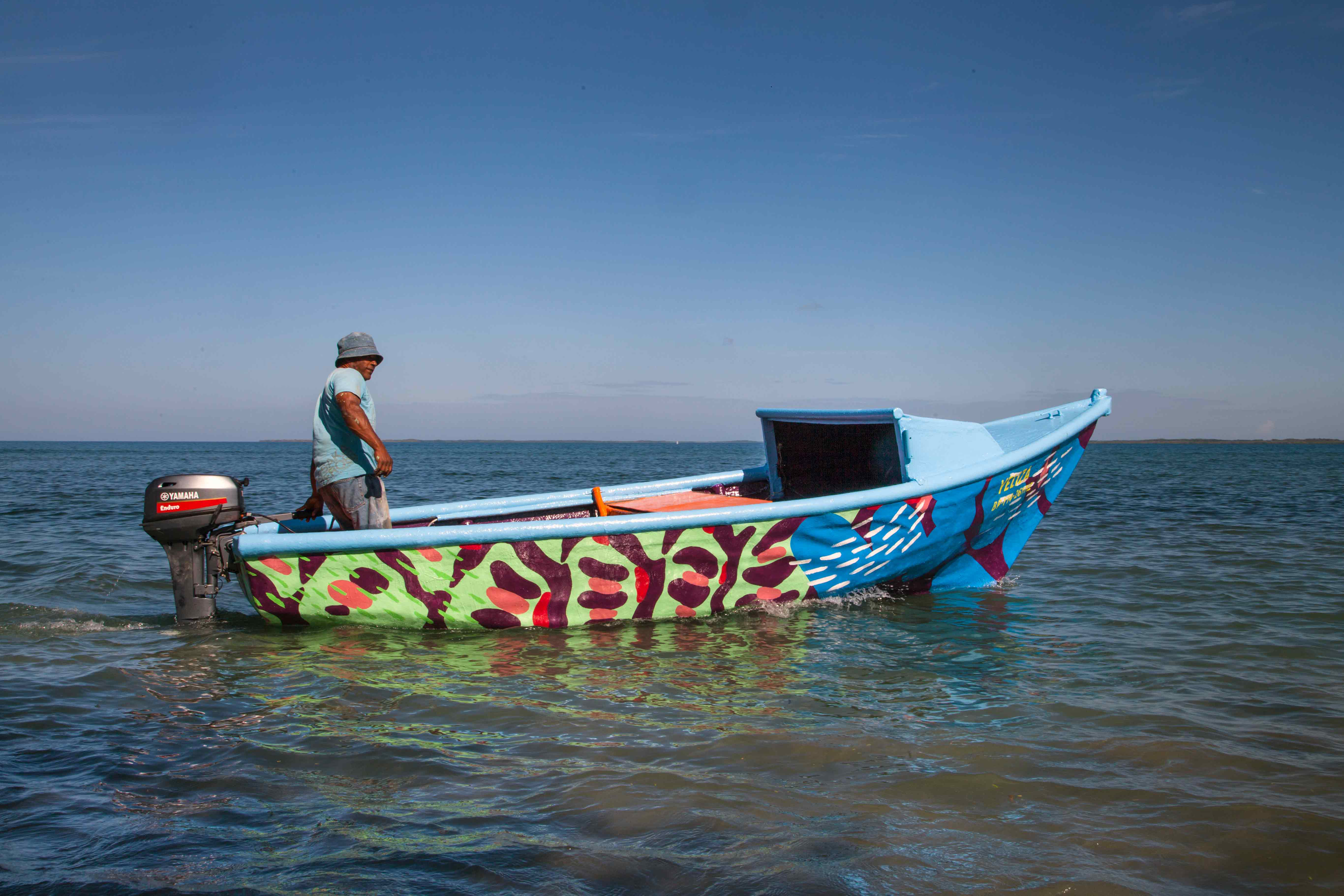 marine biodiversity