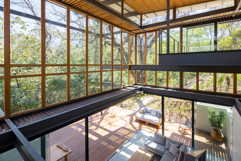 studio saxe jungle house