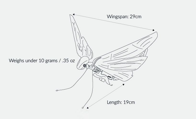 the metafly robot insect uses biomimetics to mimic the real thing