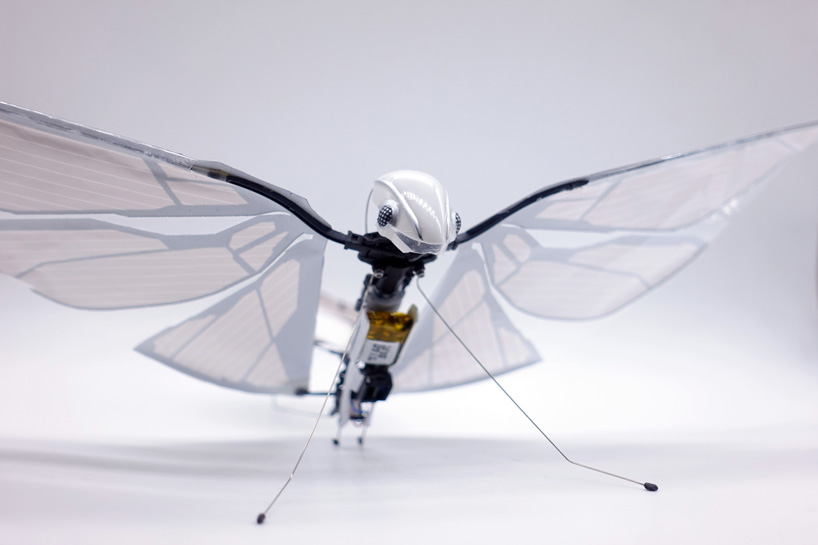 the metafly robotic insect uses biomimetics to mimic the real thing