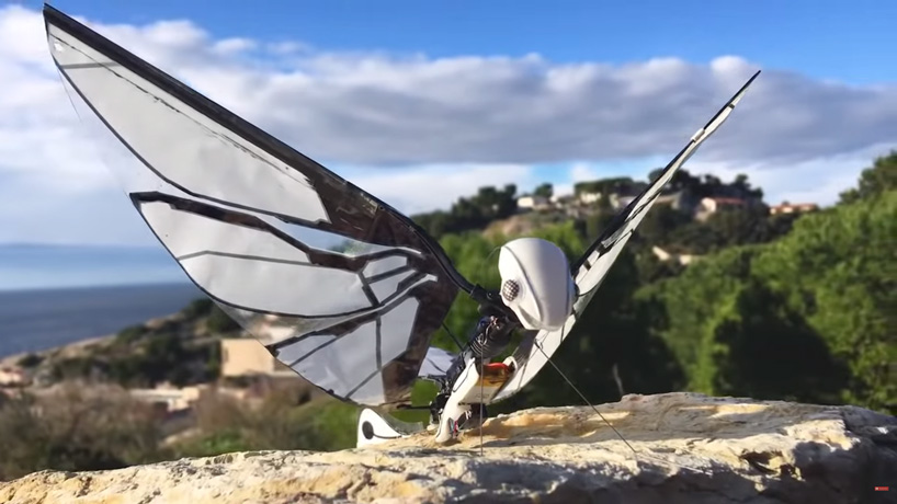 the metafly robot insect uses biomimetics to mimic the real thing