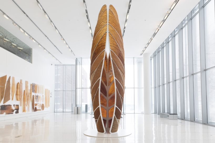 decay by design: organic matter, 3D-printed by a robot and shaped by water