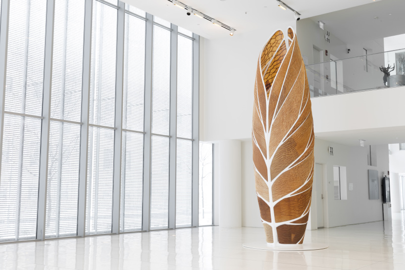 decay by design: organic matter, 3D-printed by a robot and shaped by water