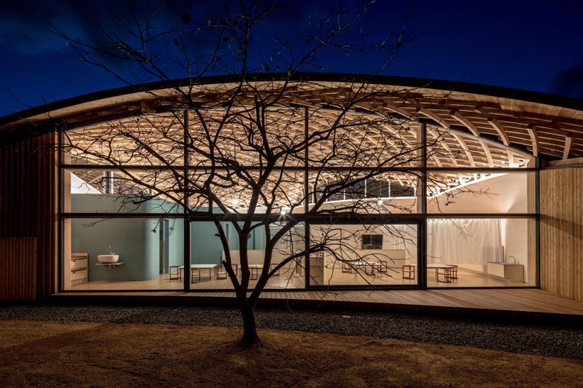 curved wood lattice roof hangs above nasca's blue sky nursery school in japan
