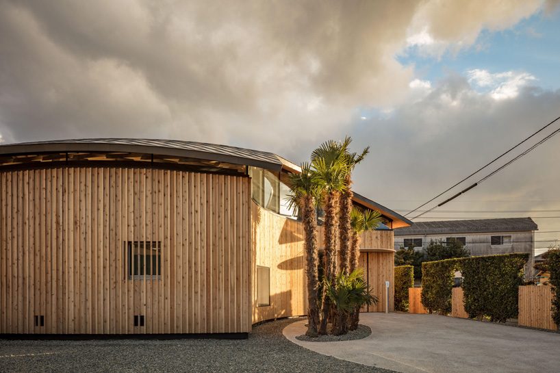 curved wood lattice roof hangs above nasca's blue sky nursery school in japan