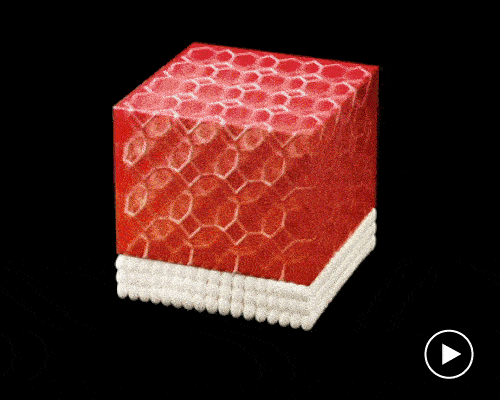 restaurant will serve 3D-printed sushi based on customer’s saliva and urine