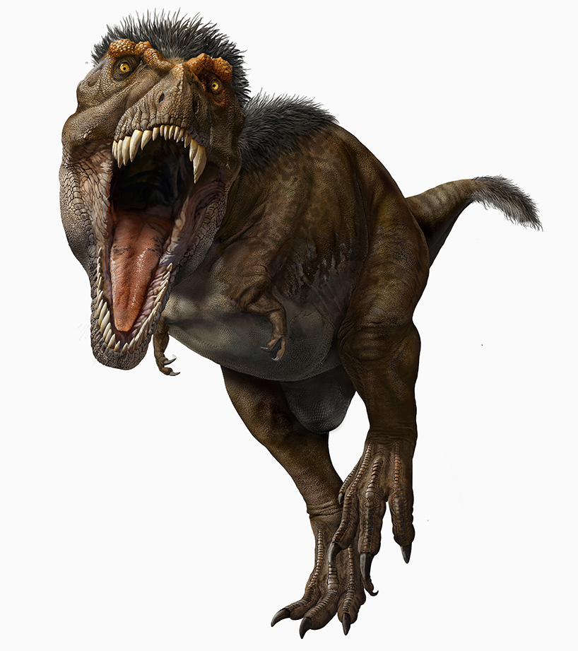 trex dinosaurus