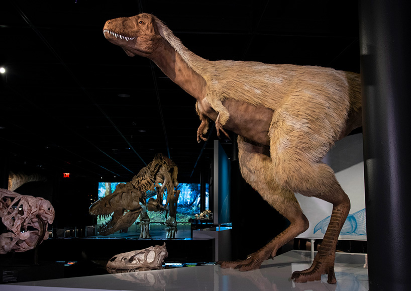 T. rex exhibit features terrifying beast with a feathery mullet