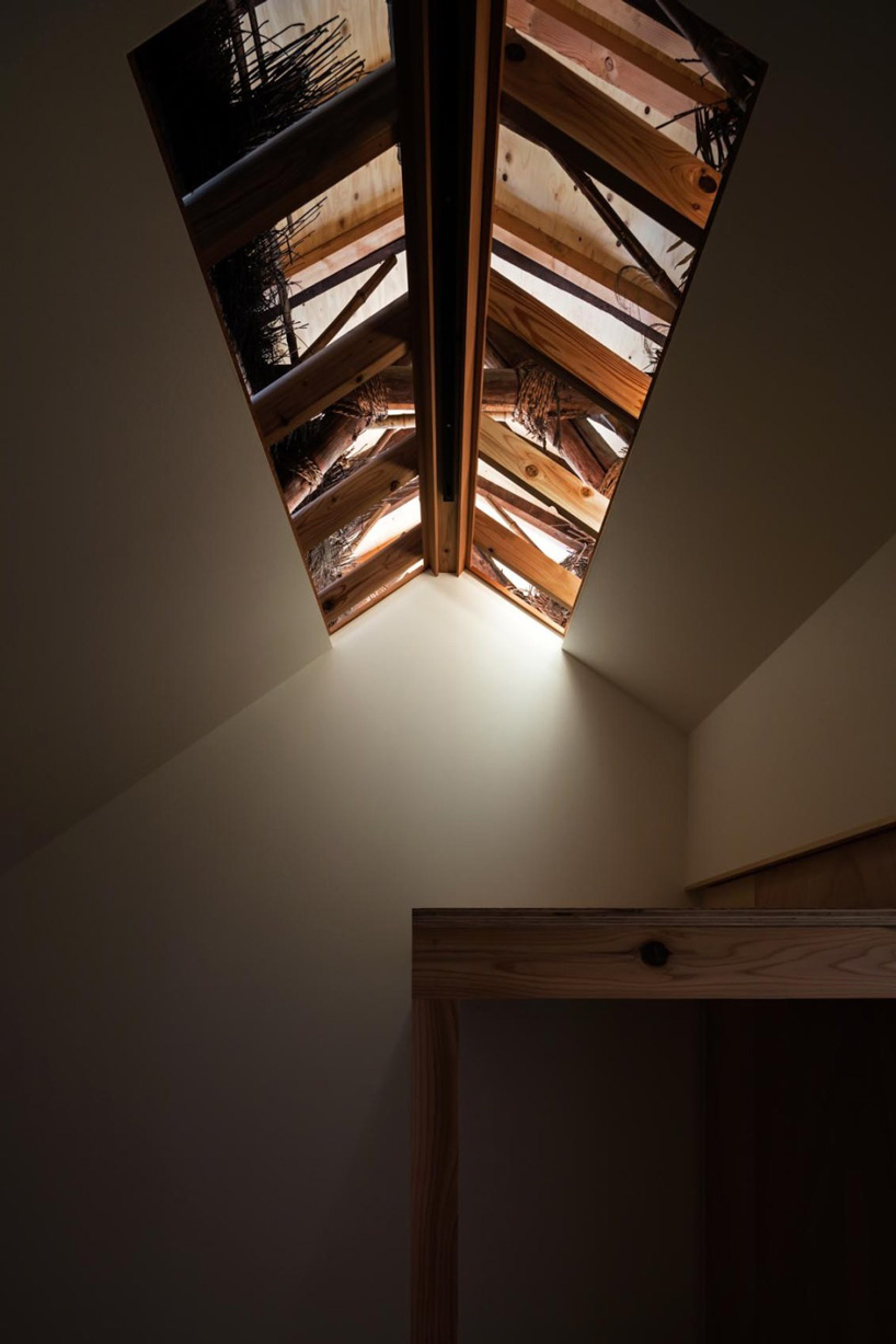tadashi yoshimura breathes new life into thatched sloping roof of japanese residence
