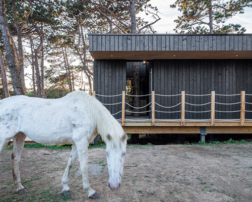charred timber treehouse by victoria migliore is built amongst pine forest in rural france