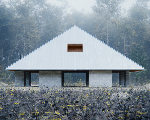 WOJR envisions symmetrical 'house of the woodland' with striking pyramid roof