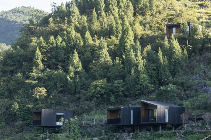 ZJJZ builds charred timber volumes on a hillside in rural china for 'woodhouse hotel' designboom