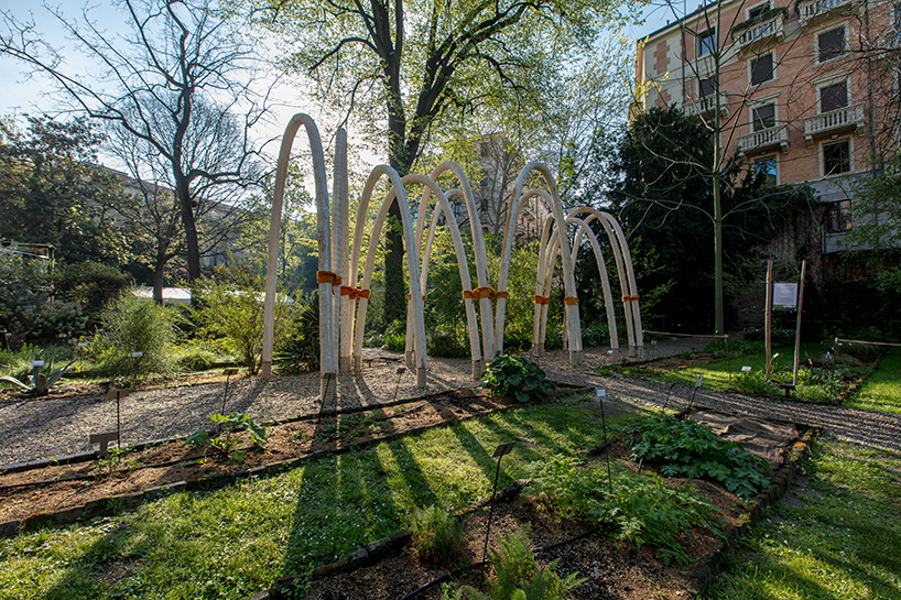 carlo ratti mycelium