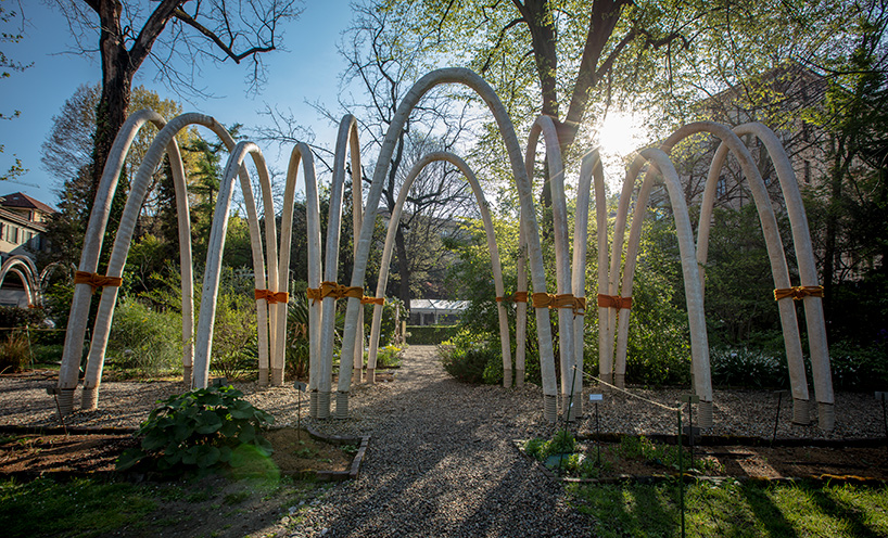 carlo ratti mycelium