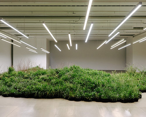 linda tegg plants a field of wild grasses inside jil sander's HQ for milan design week