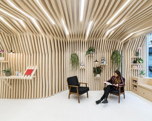 joshua florquin architecture transforms paris hair salon into pine forest
