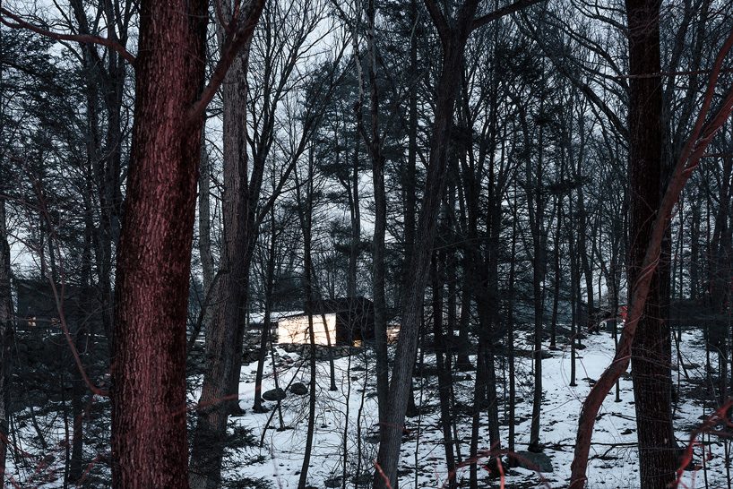 miguel quismondo builds small pavilion with charred wood and a polycarbonate façade