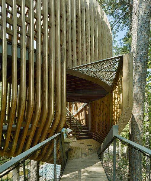 modus studio sculpts native pine ribs into evans tree house in arkansas