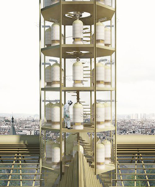 studio NAB imagines an educational and inclusive greenhouse on the roof of notre dame