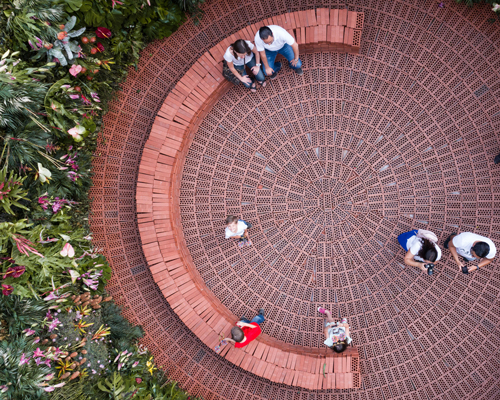 radiating bricks, species, colors and aromas enclose mexico city flower festival oasis