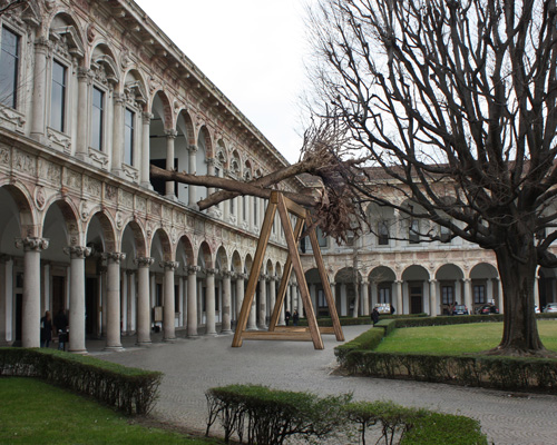 piuarch pays tribute to stradivari's lost forest with installation at the university of milan