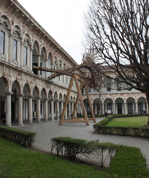 piuarch pays tribute to stradivari's lost forest with installation at the university of milan